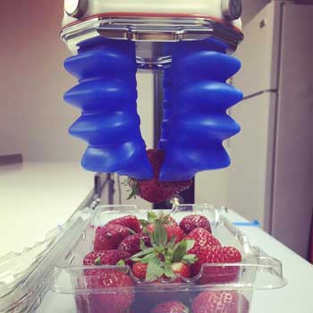 strawberries in plastic basket